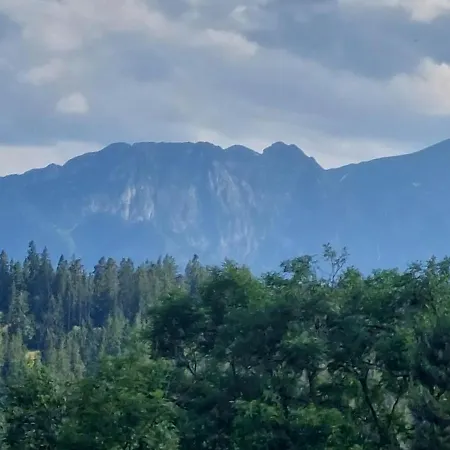 Dom Tatrzanski Widok بيت للعطل *