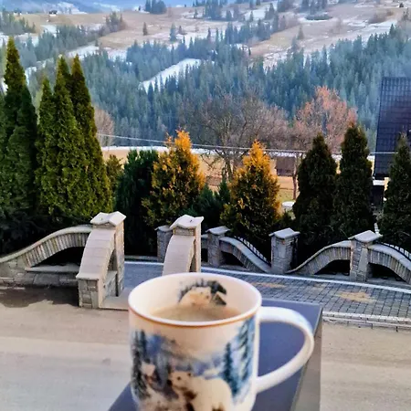 Dom Tatrzanski Widok 度假居 *