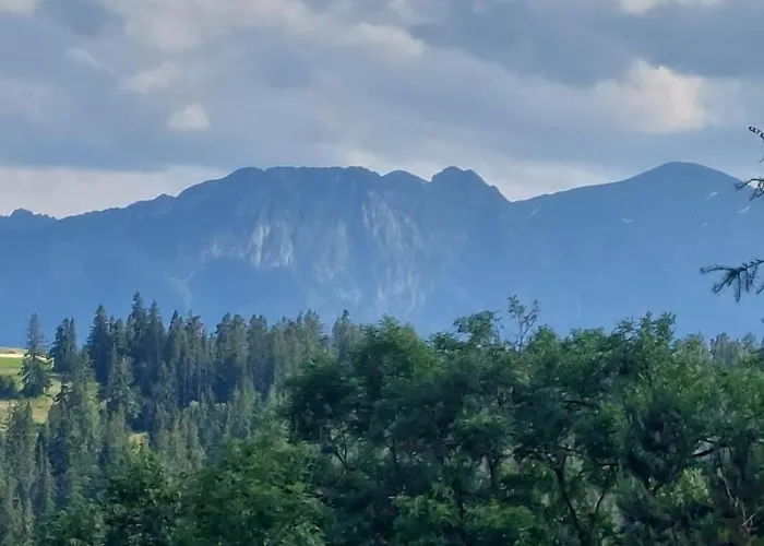 Dom Tatrzanski Widok 度假居 *