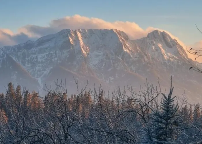 度假居 Dom Tatrzanski Widok *